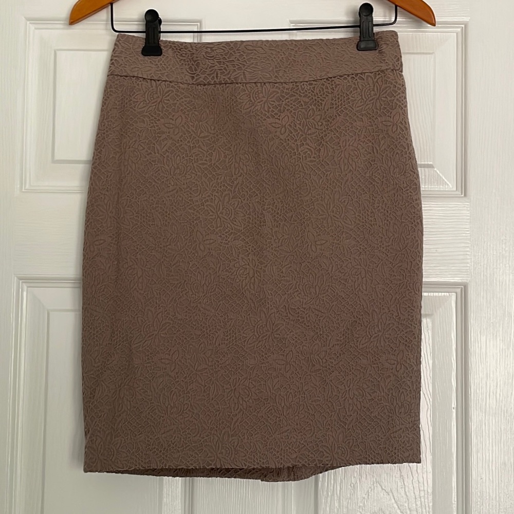 Ann Taylor Loft Knee Length Full Lace Skirt